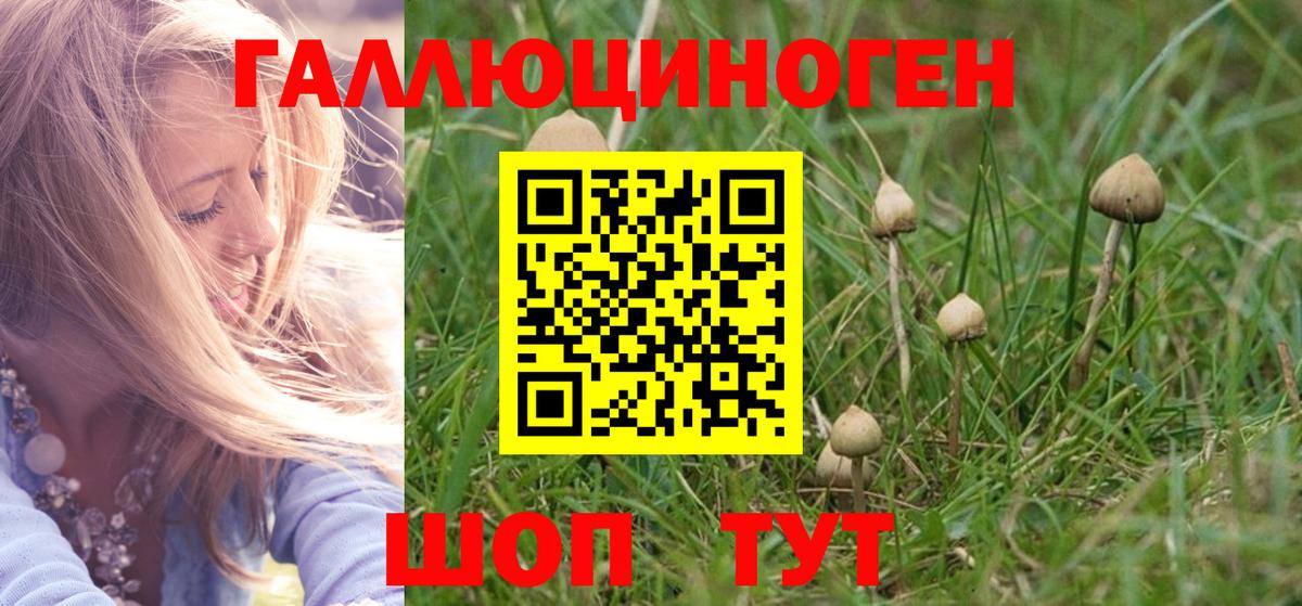 Мыски  Псилоцибиновые грибы мицелий  Вход с VPN 