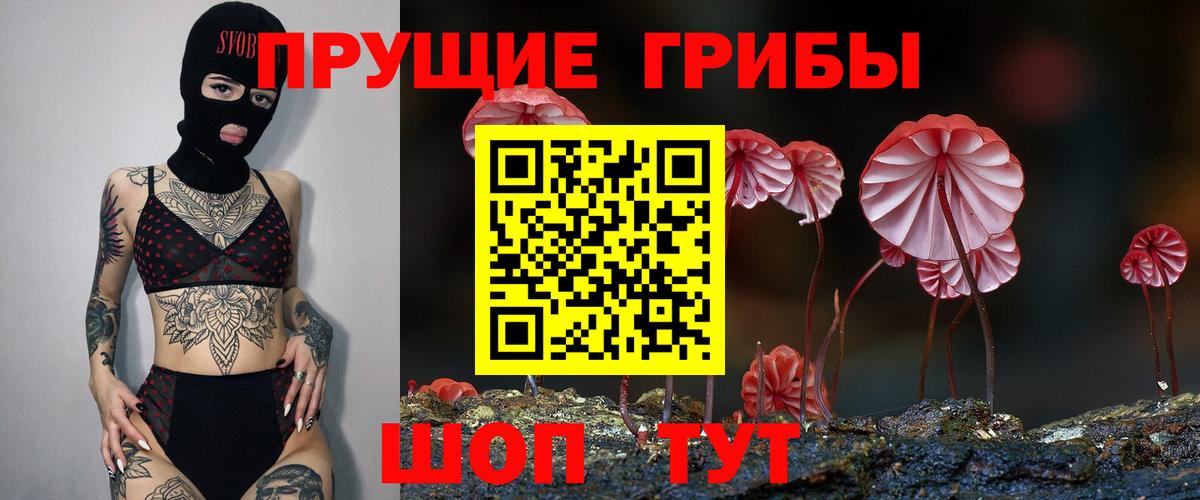 Галлюциногенные грибы GOLDEN TEACHER Мыски